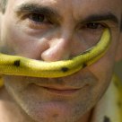 Snake Face